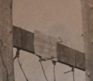 Preview: altes Foto - erhängter Partisan ? Russland ?